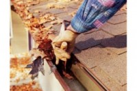 Чистота крыши — залог ее долговечности