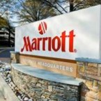 Экологи выступили против строительства отеля Marriott в Ульяновске